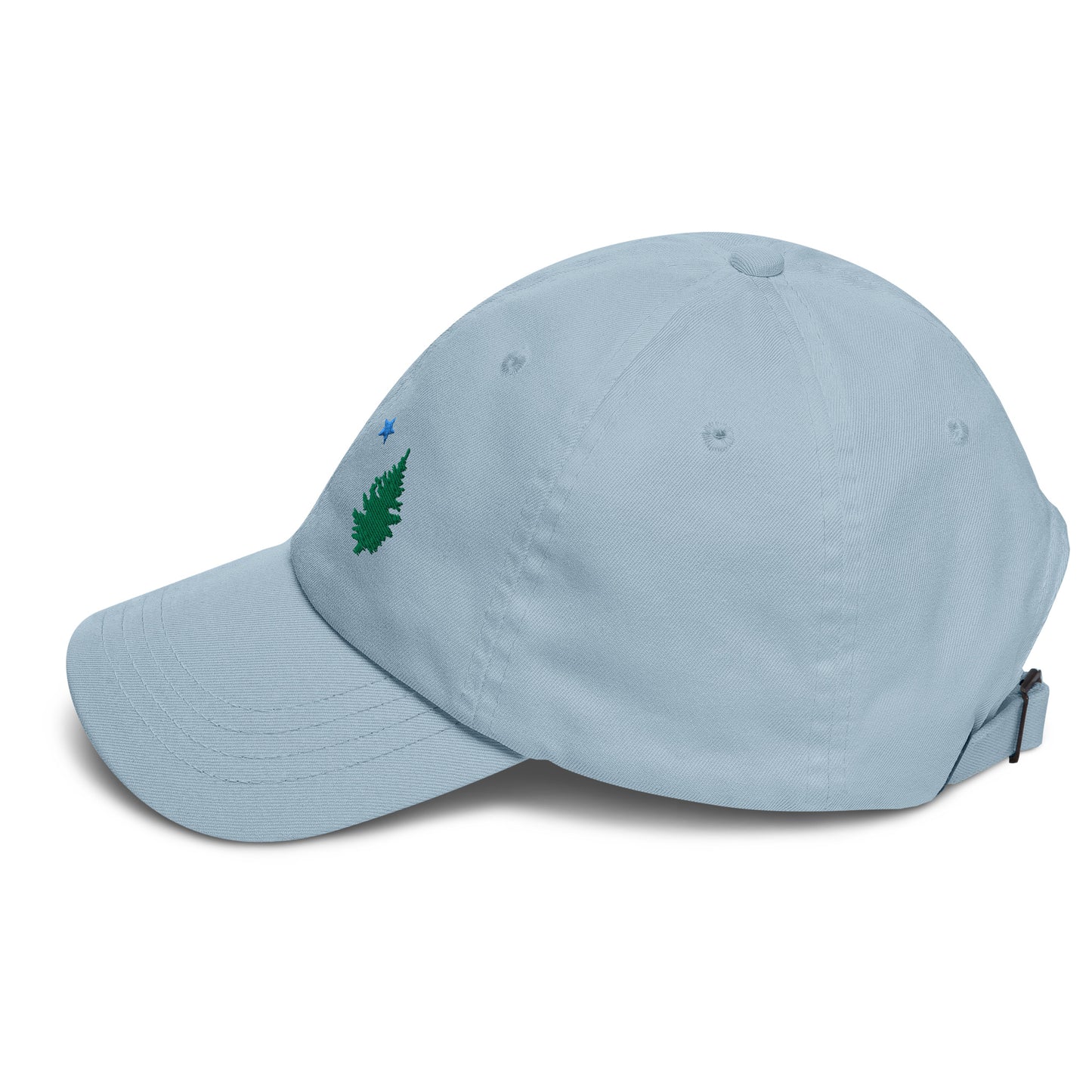 Maine Flag Cotton Twill  hat